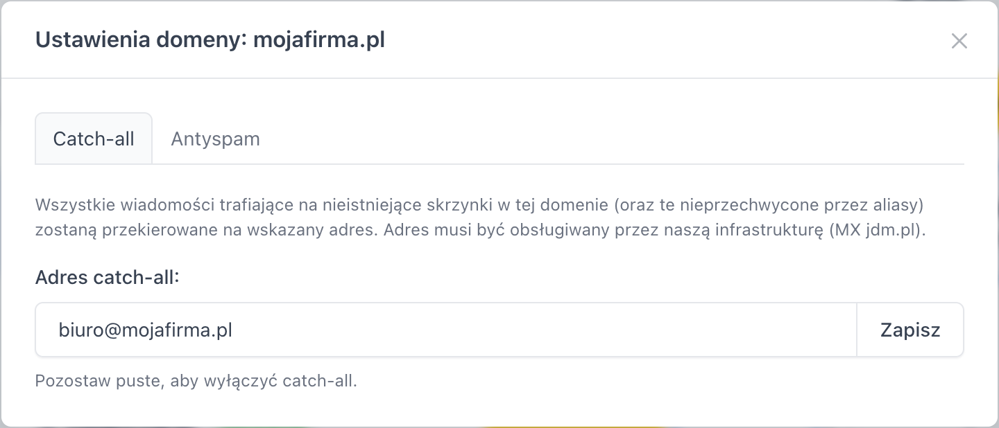Zakładka Catch-all w oknie Ustawienia domeny
